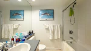 1707-7878 WESTMINSTER HWY RICHMOND - Bathroom